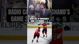&ldquo;THE PANTHERS TAKE GAME 3!&rdquo;