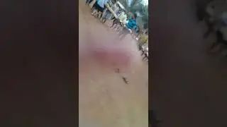 Sindhurga Sawantwadi sargave