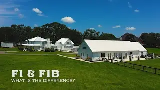 F1 & F1B Goldendoodles - What is the Difference?!