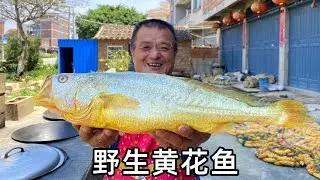 價值18000的野生黃花魚，堪比金條，阿胖山拍攝以來最貴的魚