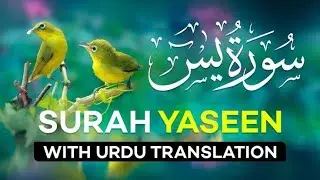 Sura Yaseen Beautiful Recitation Full || Copy of Islam Subhi Viral Quran Recitation  episode 50