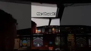 Planes can land in fog #aviation #fog #landing