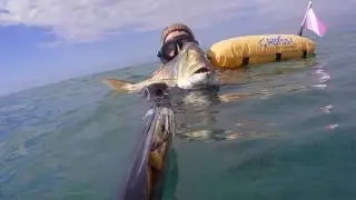 Pesca in apnea - Due Denticioni in pochissima acqua