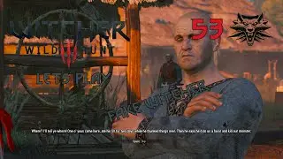 The Witcher 3: Wild Hunt | Fake Witcher 53#