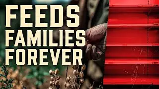 WWII Seed Pods Saved Nations From Starvation — The Forgotten Food Insurance Plan That Still Works