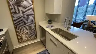 South Loop Chicago Apartments | Alta Grand Central | 1 Bedroom  Model