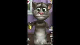 Taking Tom LIVE 😺 | Masti, Fun & Crazy Moments!