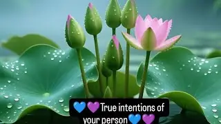 ❤️True feelings of your person❤️ #tarotreading #spiritual #astrology #tamil #healing #twinflame 
