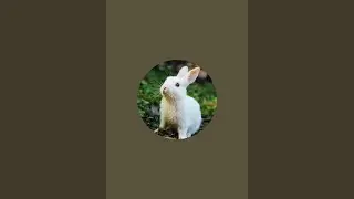 Casper... is live