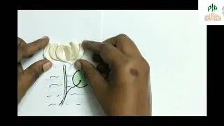 #simple art & craft #arts #craft #simple things craft #waste items craft