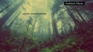 Secret Conversations Ambient Music