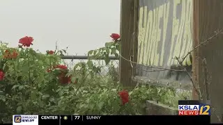 Government shutdown slows down local farm operations