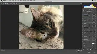 #isophoto: Using adjustment tools in Adobe Camera Raw Filter, with Tony Harmer