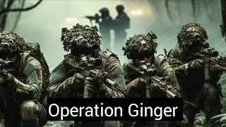 Operation Ginger | Defense affairs