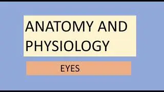 ears #ears anatomy and physiology of ears #mcq