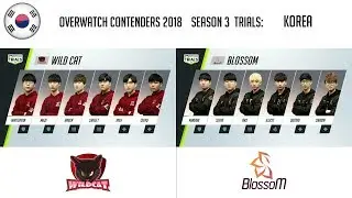 [KOR] Wild Cat vs BlossoM | OWC 2018 S3 Trials: Korea