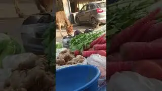 71/365 day hard chellenge vegetable selling