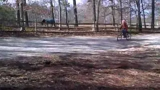 bike crash