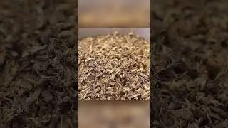 Сверчковая мука. Как производят и где можно встретить