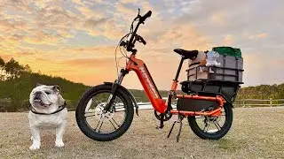 Бульдог Рубен (спонсор: Hovsco Hovcart eBike)