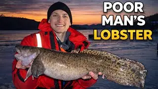 The Ultimate Ice Fishing Adventure: Catching Lake Trout & Burbot