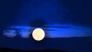 In a Dark Time by Theodore Roethke