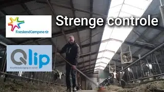 Opnieuw STRENGE CONTROLE op onze boerderij... | Boer Gerrit vlogt 