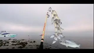 EPIC DAY IN THE ATLANTIC OCEAN.....BIG FISH AND A GOOD TIME!!!!