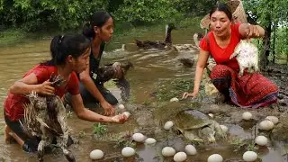 Survival catch & cook turtle for food- Cooking egg spicy with mushroom-Boiled turtle soup spicy