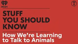 How We&rsquo;re Learning to Talk to Animals | STUFF YOU SHOULD KNOW