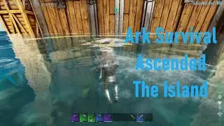 Ark Survival Ascended - The Island (EP55) - Base Building - Part 20 (Aquatic Expansion)