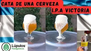 BEER TASTING (I.P.A VICTORIA) CRAFT BEER