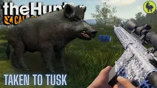 Торр нан Ситеан доставлен в Туск | theHunter: Зов предков