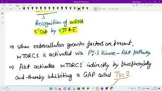 Cell Signalling 2I