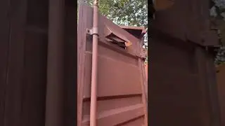 Sasti Tata ace gold close body.