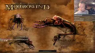 Let's Play Morrowind, Part 6