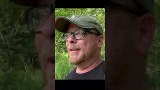 Sneak Peek: Peaceful Creek Hike in Houston, MO #shorts #sneakpeek
