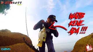 guna umpan murah strike BANTAL EMAS/landbase casting[MALAYSIA FISHING CHANNEL]