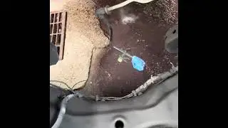 Rust resistant frame paint for truck