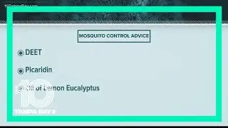 Here's why mosquito complaints are soaring even as the pest's population isn't