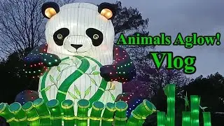 ANIMALS AGLOW {ST. LOUIS ZOO VLOG}