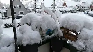 Sturmtief Elli in Cuxhaven