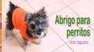 Abrigos para perritos tejidos en dos agujas en dos tallas!