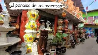 EL MERCADO MAS GRANDE DE VENTA DE MACETAS