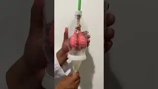 Sistema Respiratorio