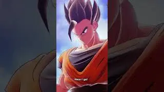 Gohan Transformations 
