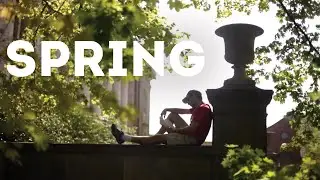 Spring Blooms On Holy Cross Campus