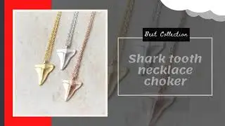 Shark Tooth Necklace Tiger Shark Necklace Shark Real Teeth Design