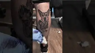 Dog portrait tattoo #tattoo #tattooartist #instattoo #slovenia #tattooed #tatttoo #tattooideas