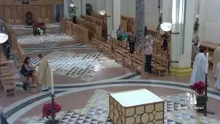 The Nativity of the Lord (Christmas) Day Mass live at Saint Meinrad